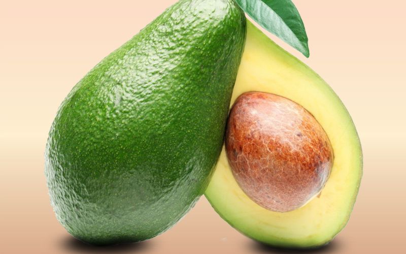 Choquette avocado history